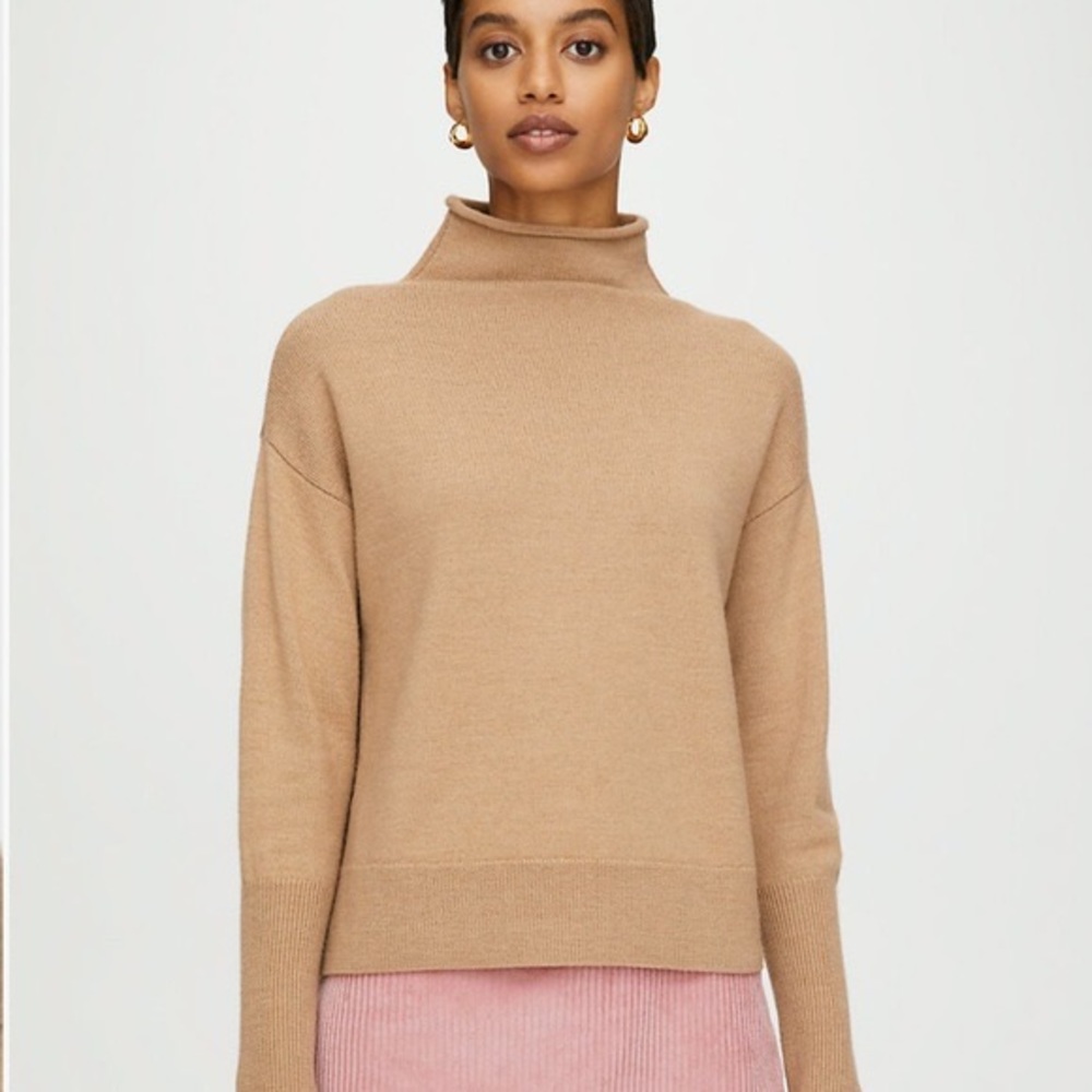 Wilfred Cyprie Turtleneck Merino Wool Sweater in Brown - Picture 16 of 16